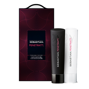 SEBASTIAN PENETRAITT DUO